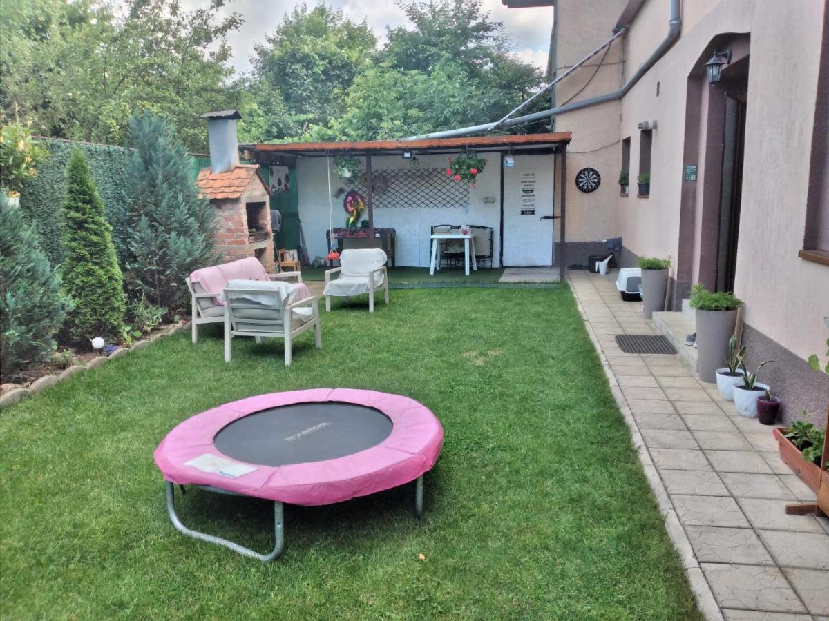 Gavri'S Relaxing Place Брашов Экстерьер фото